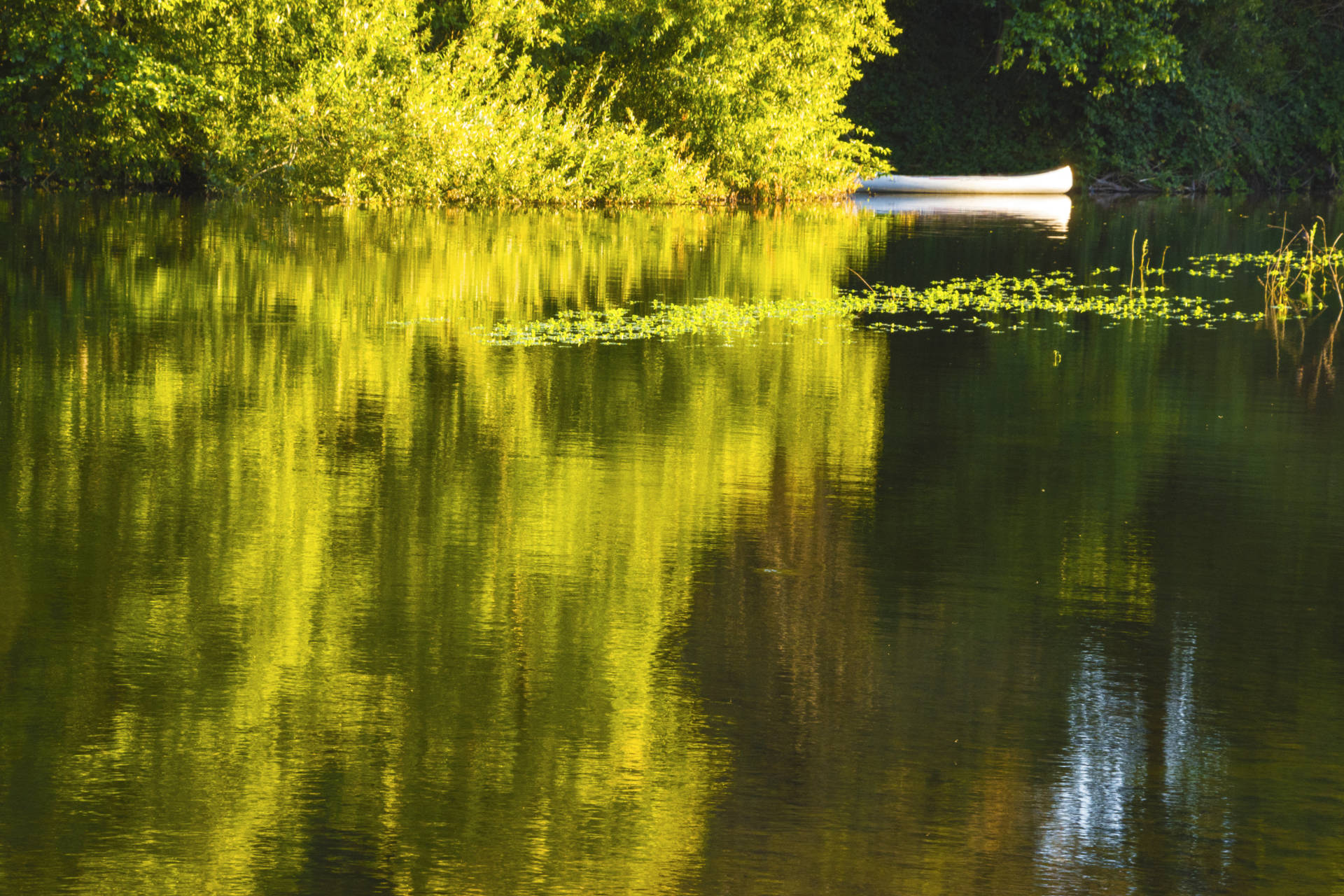 Russian River Sonoma County